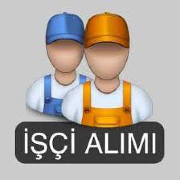 CONDITIONS AND REQUIRED GRADES FOR PERMANENTLY WORKING SCIENTISTS